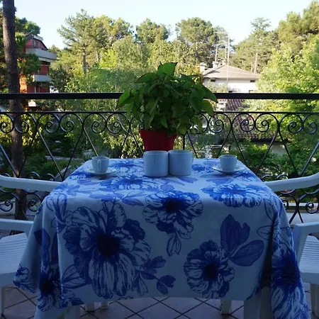 Comfortable Flat In A Small With Terrace